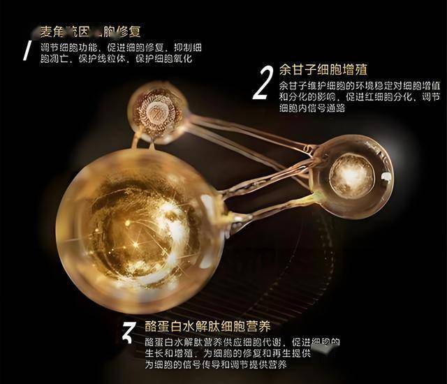对程序交易欲了解却无从下手的人速来围观！